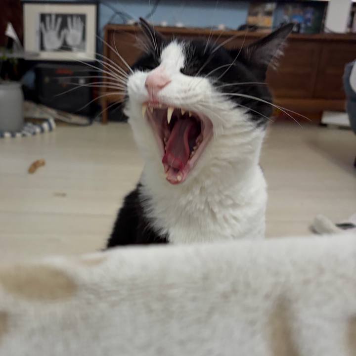 1471f7f5 0018 4fd5 8761 1ad14e8df0ce 1767187912781