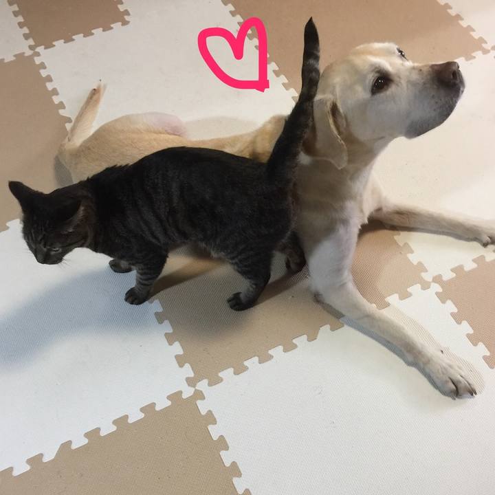 14722710 58ae 422e 9bdc 73d73400695a 1552390368446