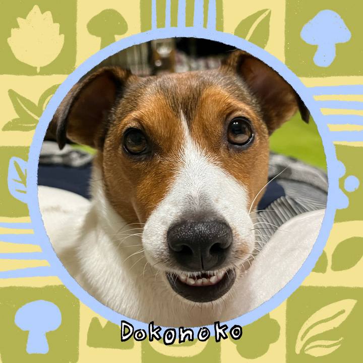 14724f92 6e87 4f82 b6cc cc31a203910f 1761920431512