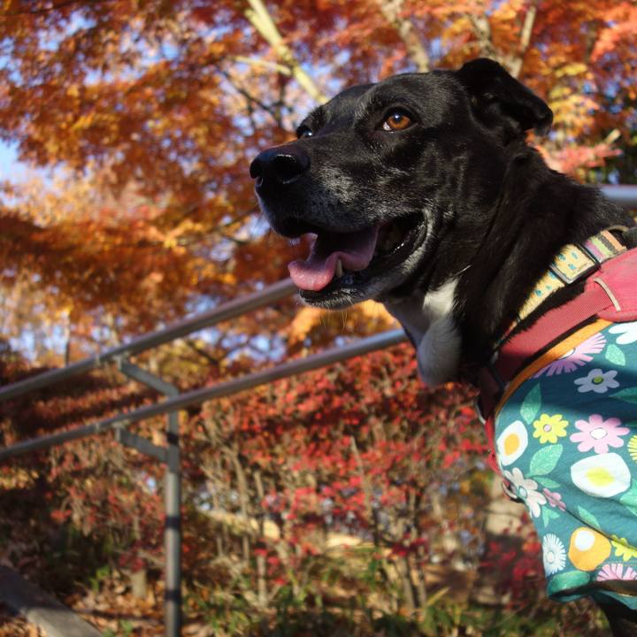 1472583f 0f2f 46aa 9a05 47feb0ed92ce 1702002399996