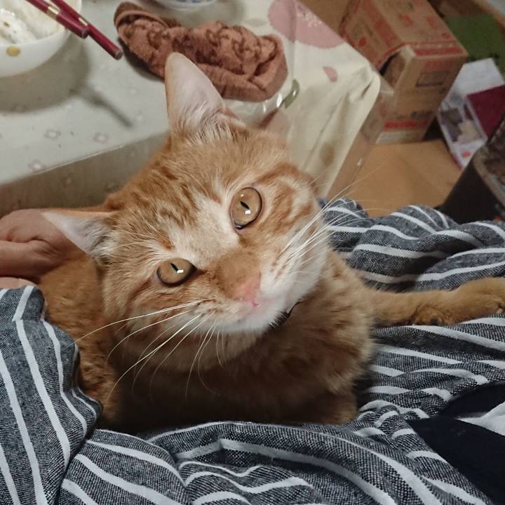 1472751a f453 4712 8b99 ce42d01dbf1f 1652088370468