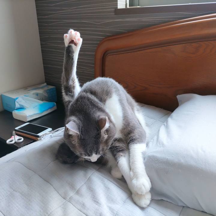 14727cb1 eea0 47a9 a2a5 0ec7983388ae 1662340537231