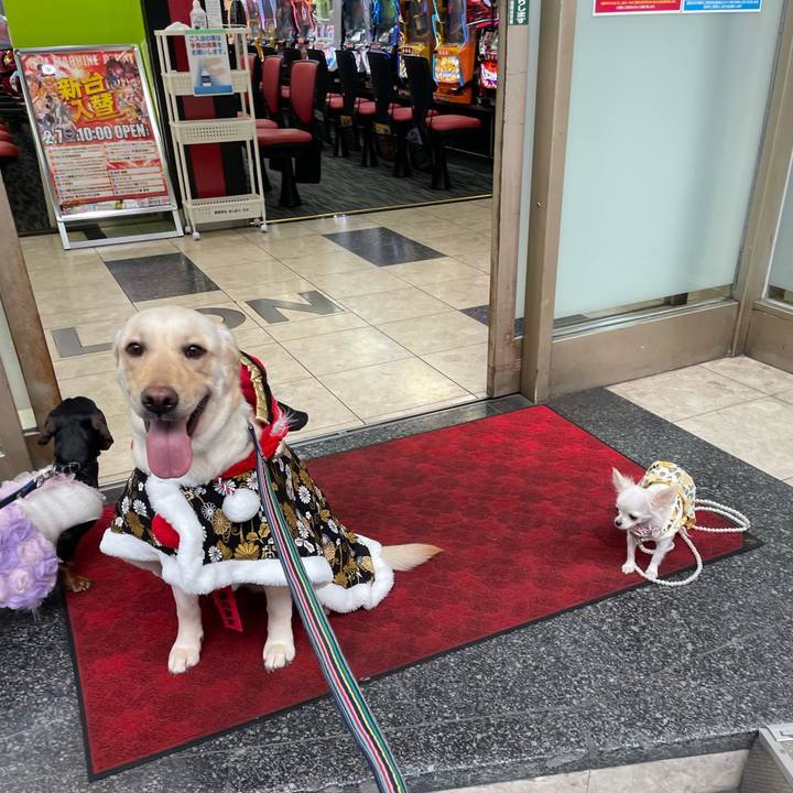 1472850b 60fa 47a6 b988 b99ead74aaa9 1675940865987