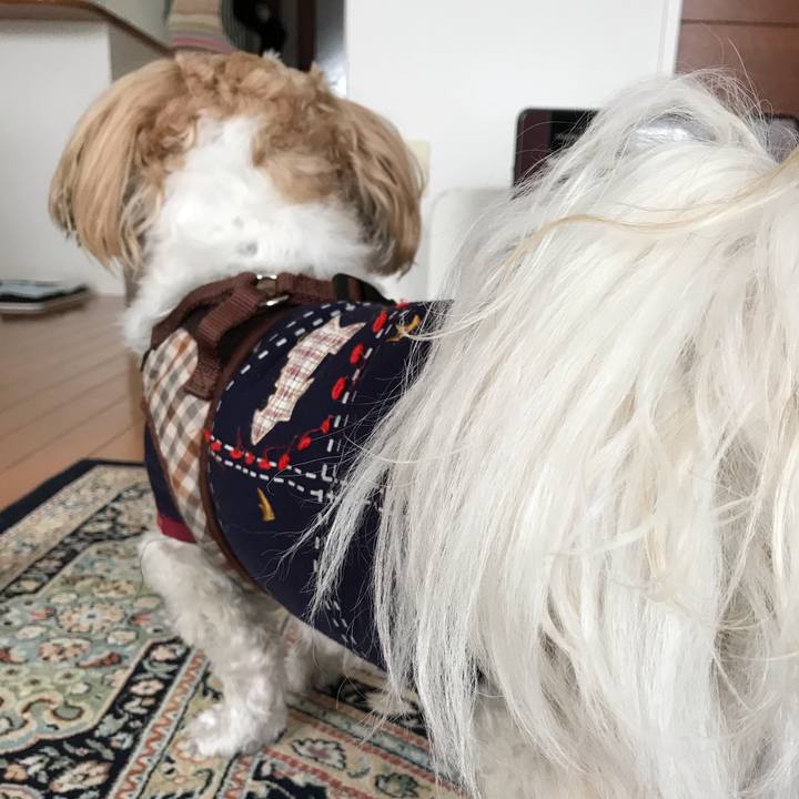 14729ee8 4a70 4b85 b77d d944de5f50f6 1543960455654