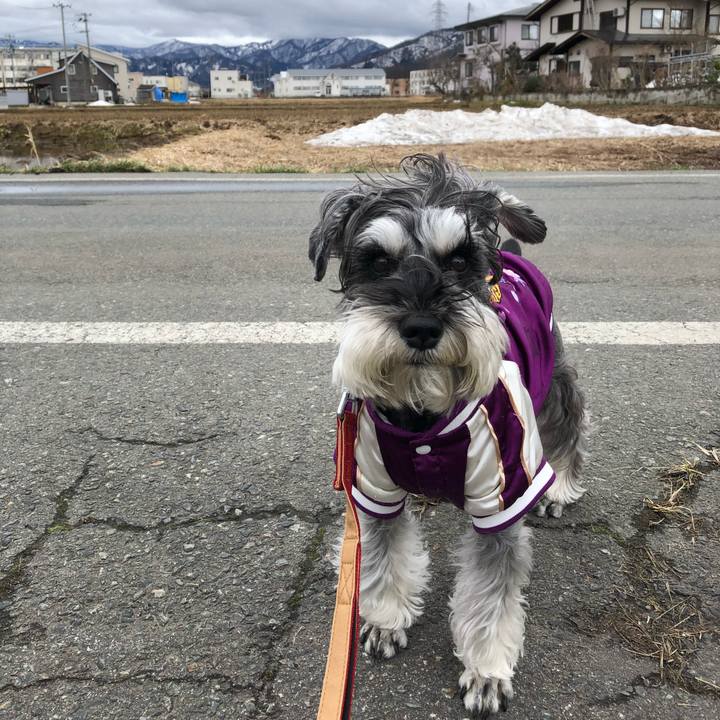 14729fa0 b766 4d09 a41e 22326409ab69 1679827015481