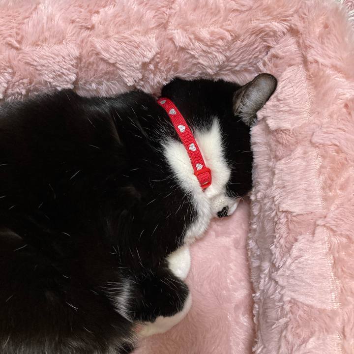 1472fbe8 70a1 4768 8157 aedb6a2897df 1766747878326