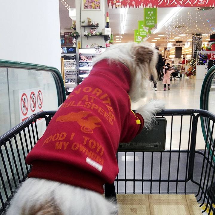 14735954 c1dc 42a8 aa5a 57bf9613e47d 1573969990474