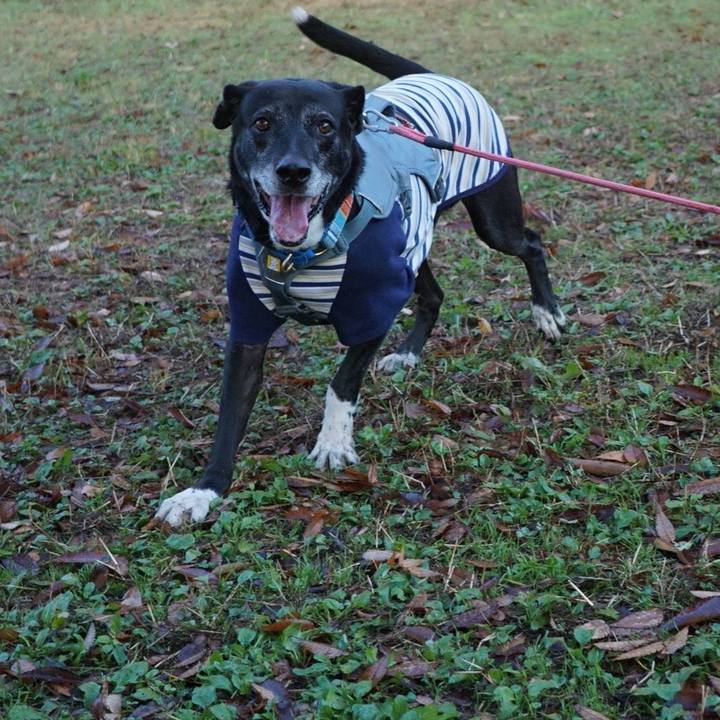 147359c0 f5a2 4968 9784 1dd630bc6bd0 1764290413748