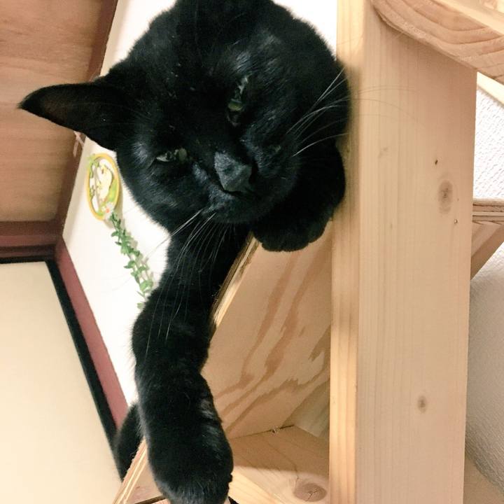 14736147 075e 41b9 bad9 b802aab1bd71 1524874953453