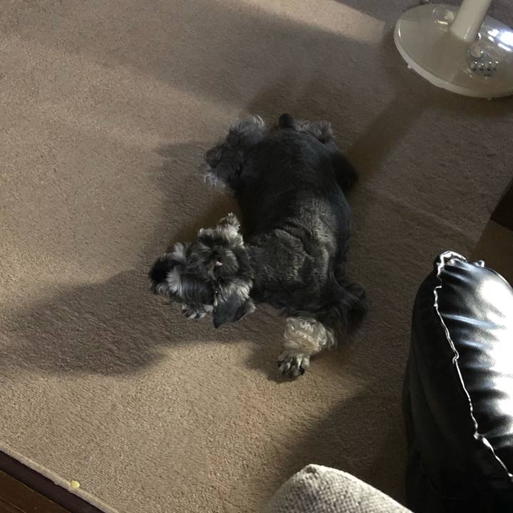 14737ef9 bbeb 43b8 9d25 e39376233132 1626494058183