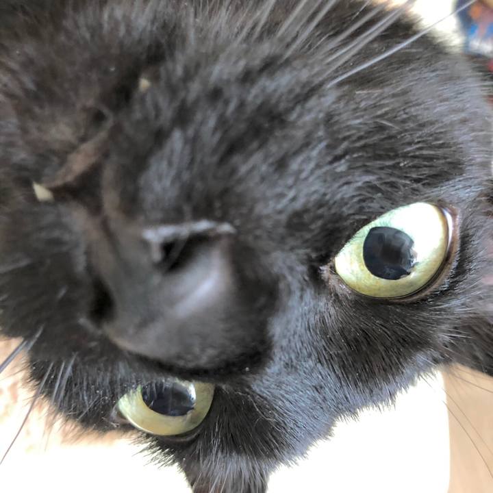 1473a7cd 50e9 4447 94fe e95c0afe42f5 1619225771578