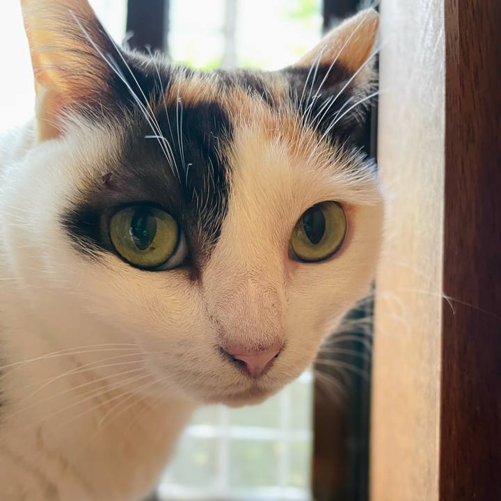 1473beaa 74ab 41bf bd12 01191f7ef1cc 1634955674888