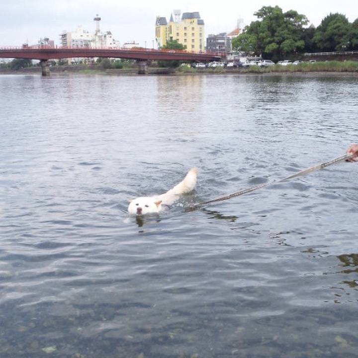 14742319 d028 4fd1 9935 0776caeae668 1662650848574