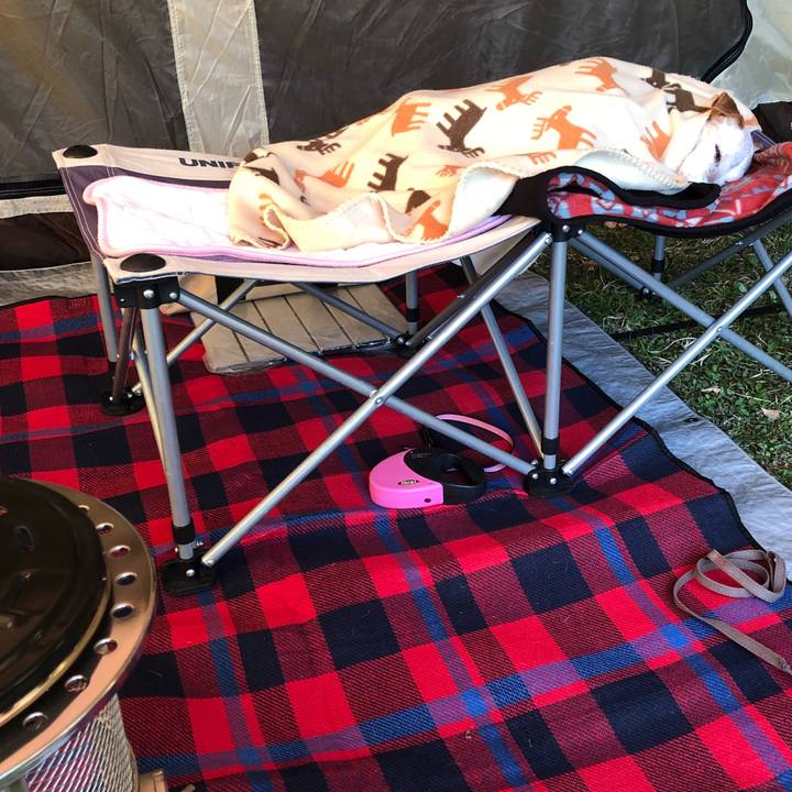 1474690b 670b 4577 bcb3 dfa80819f395 1525422604598