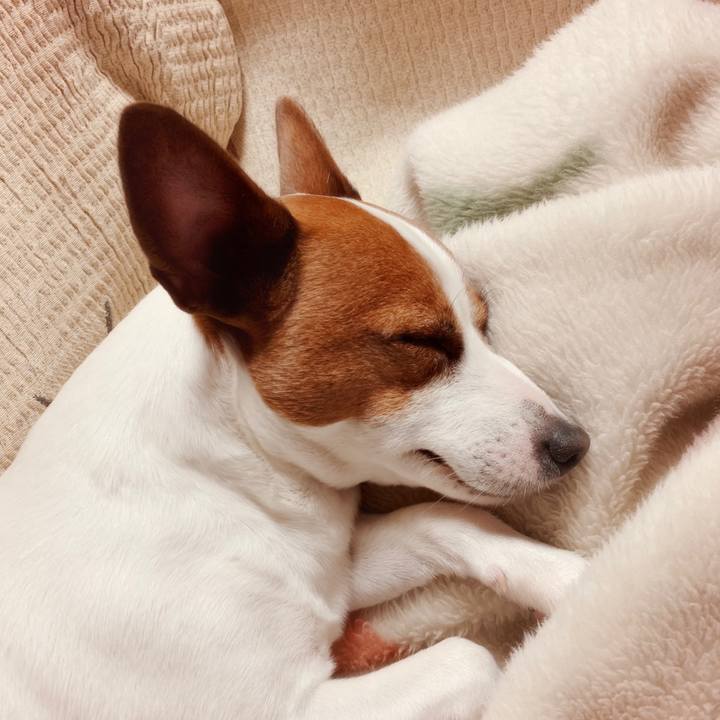 1474803a 6638 4d58 b8ad a4467a393bbe 1563715978891