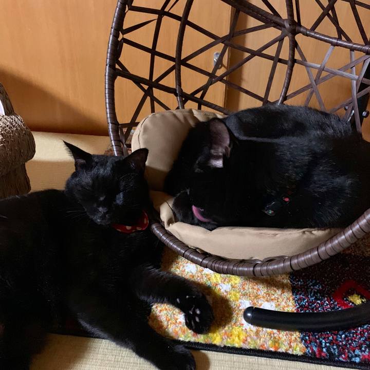 14748a39 0723 4e78 8b25 95cca5df678b 1568468555478