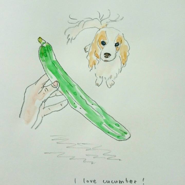 14749a34 699c 4f0e 92aa 1a99d28abb34 1563154599146