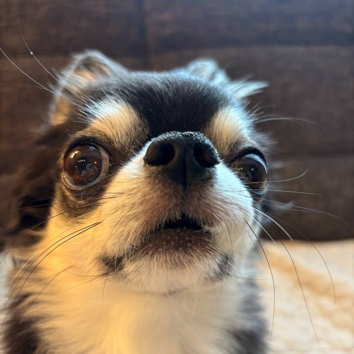 1474b3d1 8cdf 4788 9b5e b3c0b3dcd302 1753114922414