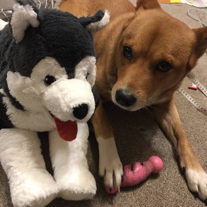 1474d4a0 5ca4 4d20 9186 549824822ebc 1548369114572