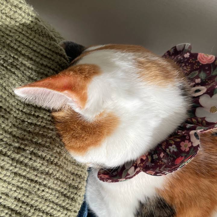 1474d5fe 9a9a 4193 a813 47368b1ea901 1737784975475