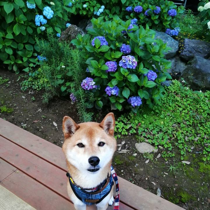 147500b7 707e 48d5 879b 1c1ee39abc17 1654320950453