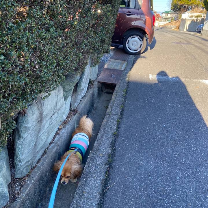 14752980 1f60 461f 86b1 2d077307319e 1577922325608