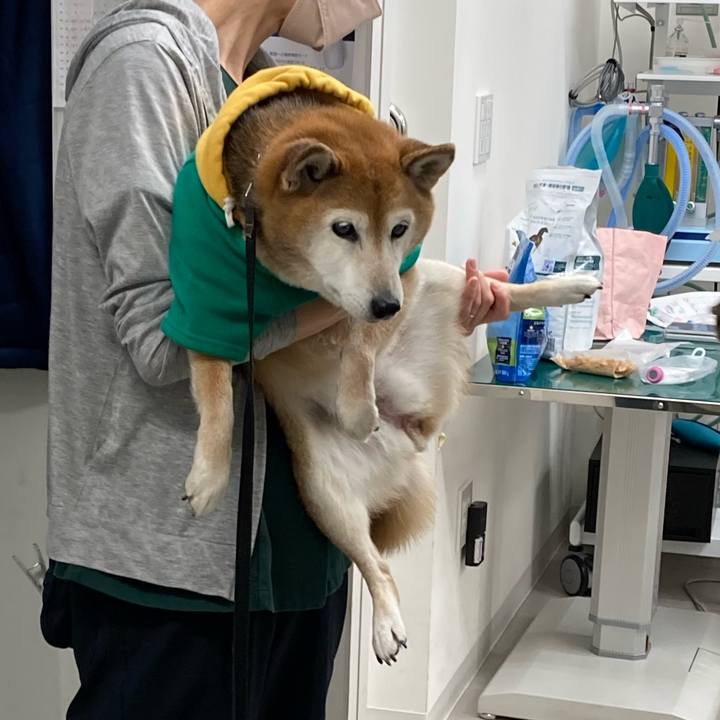 14756961 0ad0 4542 83c4 f4ff7a3aa5a1 1766377334104