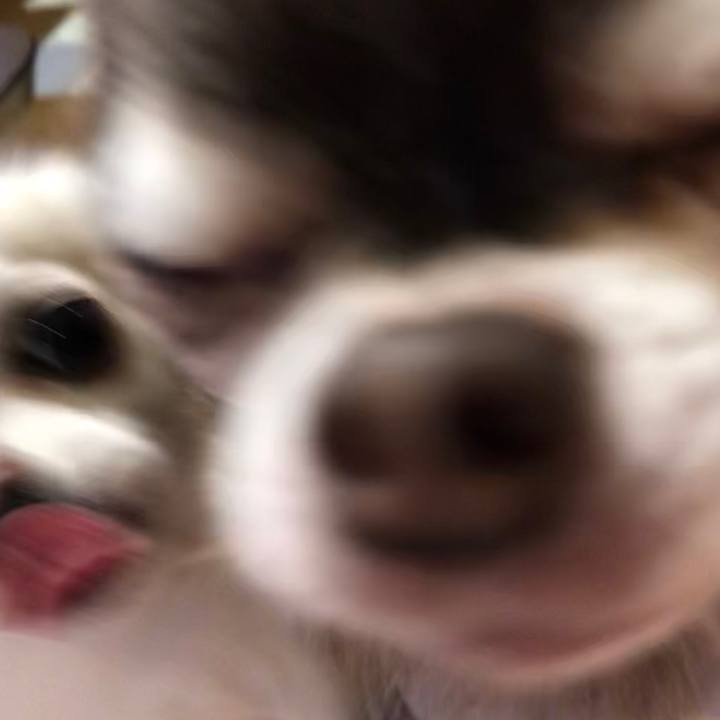 147570ec 5f2b 4ad3 9990 11ccf1729c5b 1572057861541