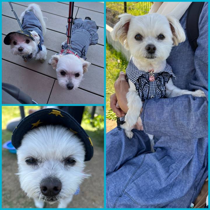 1475b937 74f5 4edd b0c0 5e74105040fe 1651654955266