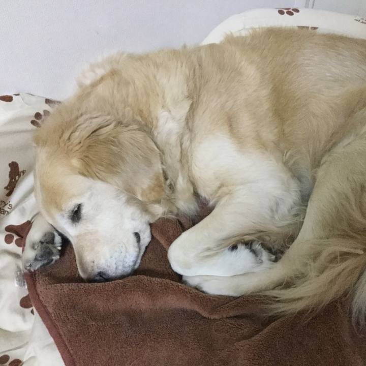 14763adf 91b1 4416 8f03 ac50ff05d718 1544872625095