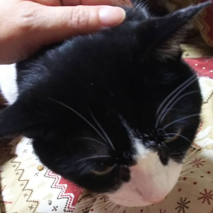 147647d5 6c6e 4807 b8ad 5aa05648fc73 1574200798179