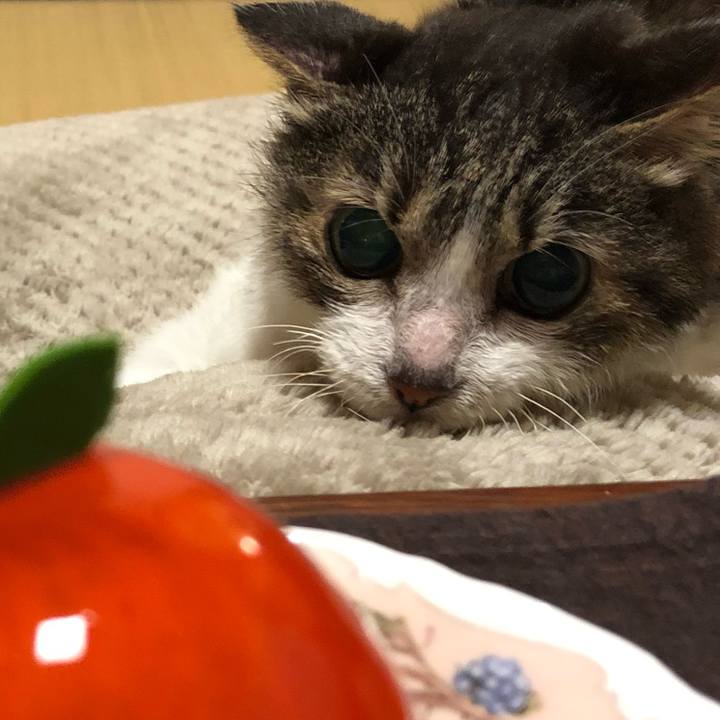 1476b0d7 b95c 41fd a983 1870cebb479d 1696108086726