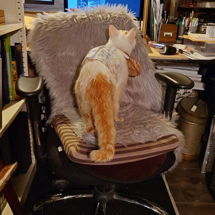 1476bbef 3f7a 4f9d b442 50c10b4c6be5 1759320868592