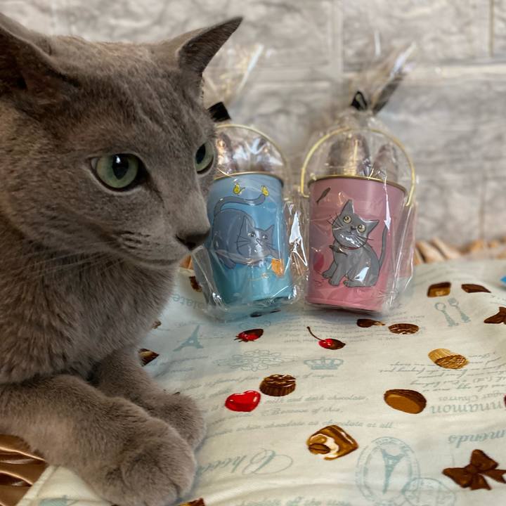 1476e443 390e 4524 bfbe 7db0a16451ef 1682170009892