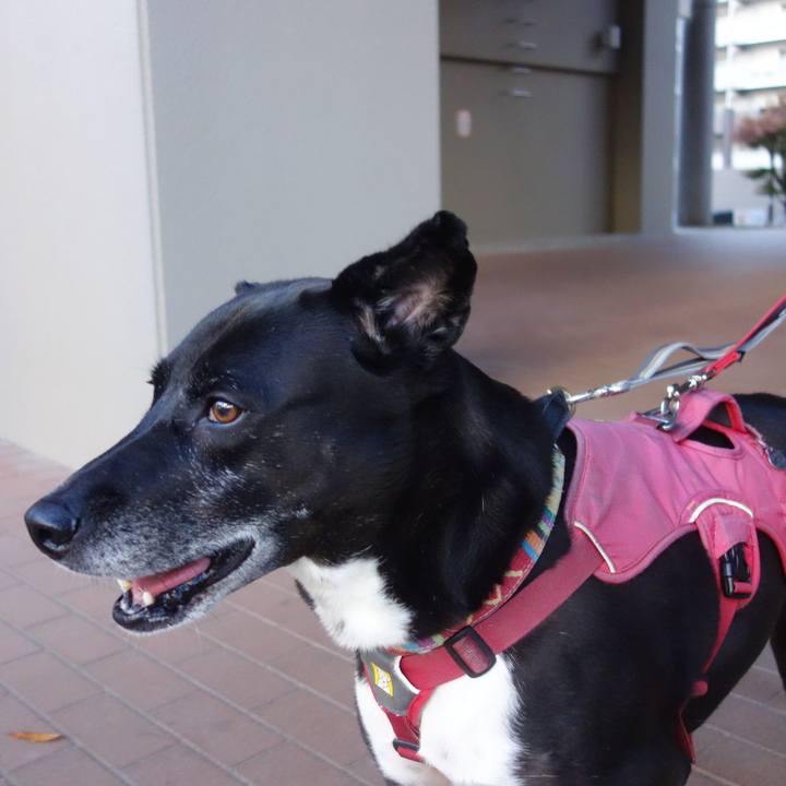 1476edc8 5153 4745 b341 730e7734219a 1701476419737