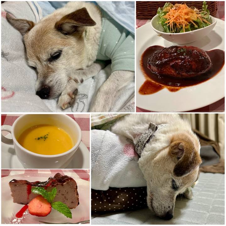 1477019f 25c6 4367 b056 0d732b065da4 1746507613953