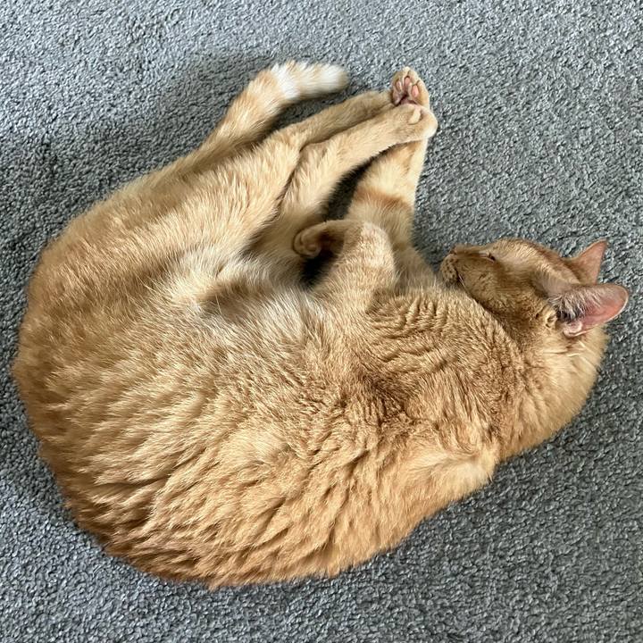 14773eb5 d6cf 4f99 9439 56a4006f1ff6 1683569178621