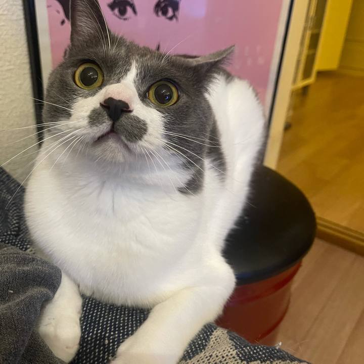 1477fe3e f9c1 4c65 a298 808c4199bf7f 1625237776944