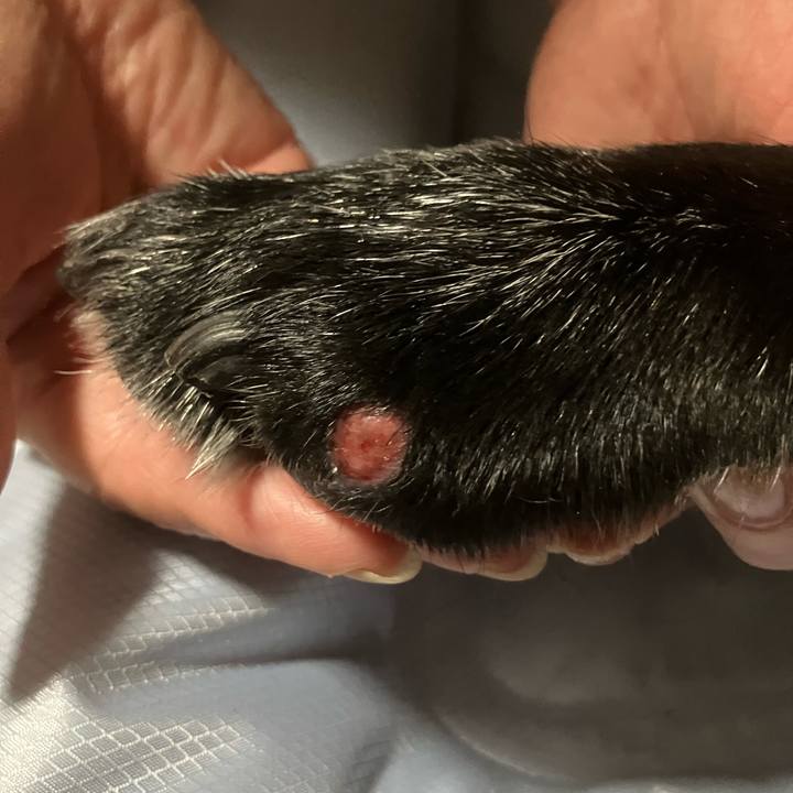 14780046 9b04 4b45 88ae 6f10886f3414 1754195479630