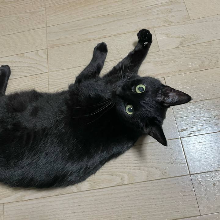 14781a63 6702 4397 bb3a 9216ebbd2412 1743854202899