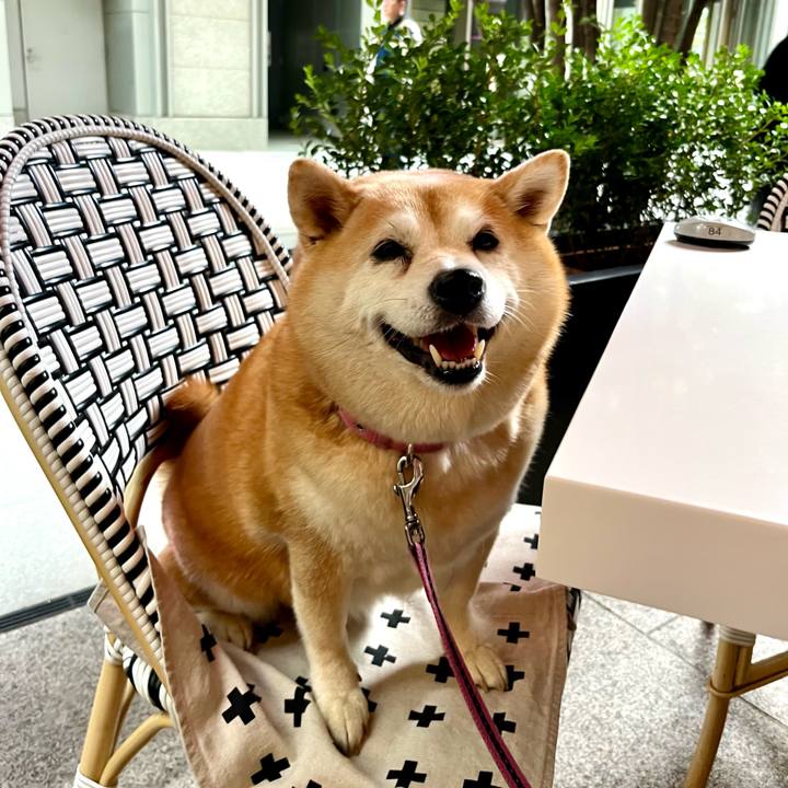 14781b6d 3d34 4127 86a0 de5e561eebc2 1699148793446