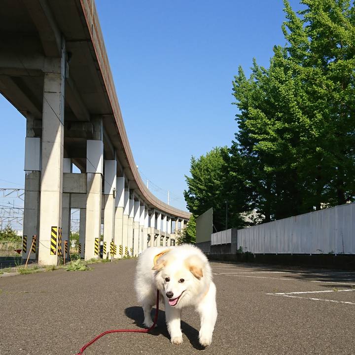 14782057 bcc3 4f64 8da2 04e61e532d4e 1525505570843