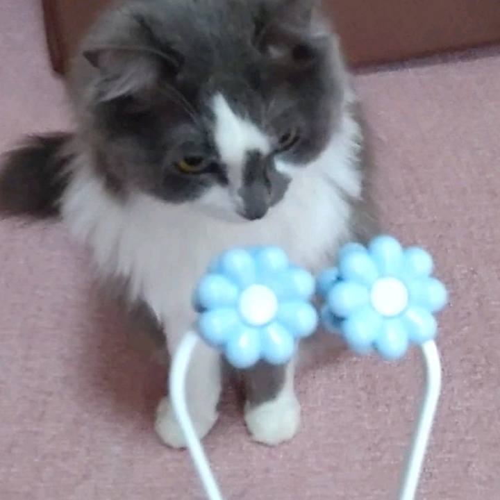 14784781 1a80 4d7d b73a 4fa518ff84d6 1628993817902