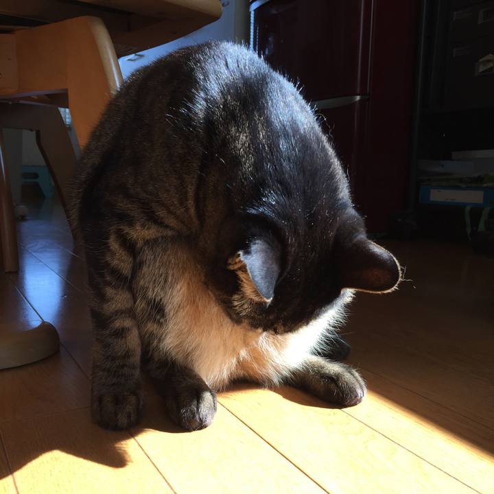 14786483 7ef3 49cd ae00 efdf31c07b97 1587053514861