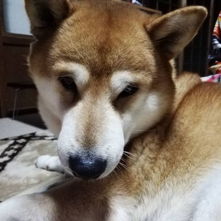 1478b190 ec82 4754 b838 c0b25344c09c 1606224027505