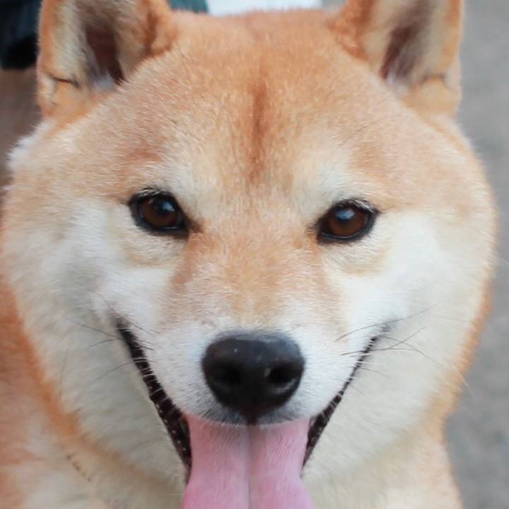 1478c9dc e0f5 4791 b85a 608f24dcdf02 1515511674451