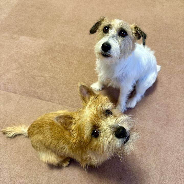 1478ccd4 f9c4 4a9c 8628 20eadbfeccb0 1727940548047