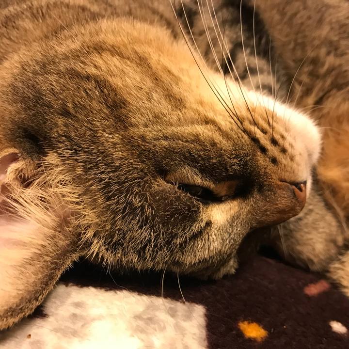 1478d77c 64cd 4e80 8fdd 45fb822f18a1 1553834340925