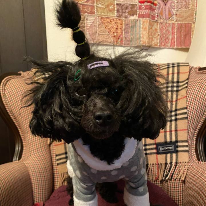 1478e5ce f308 407e 8c29 81f5a503d347 1643190712216