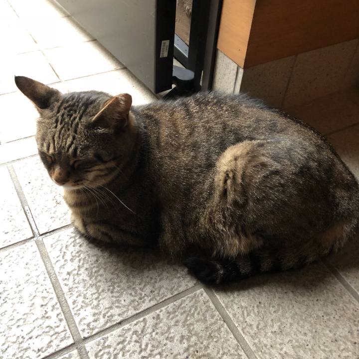 1478efd0 dc44 4ae6 8e4f 6ac53444f364 1530866619486